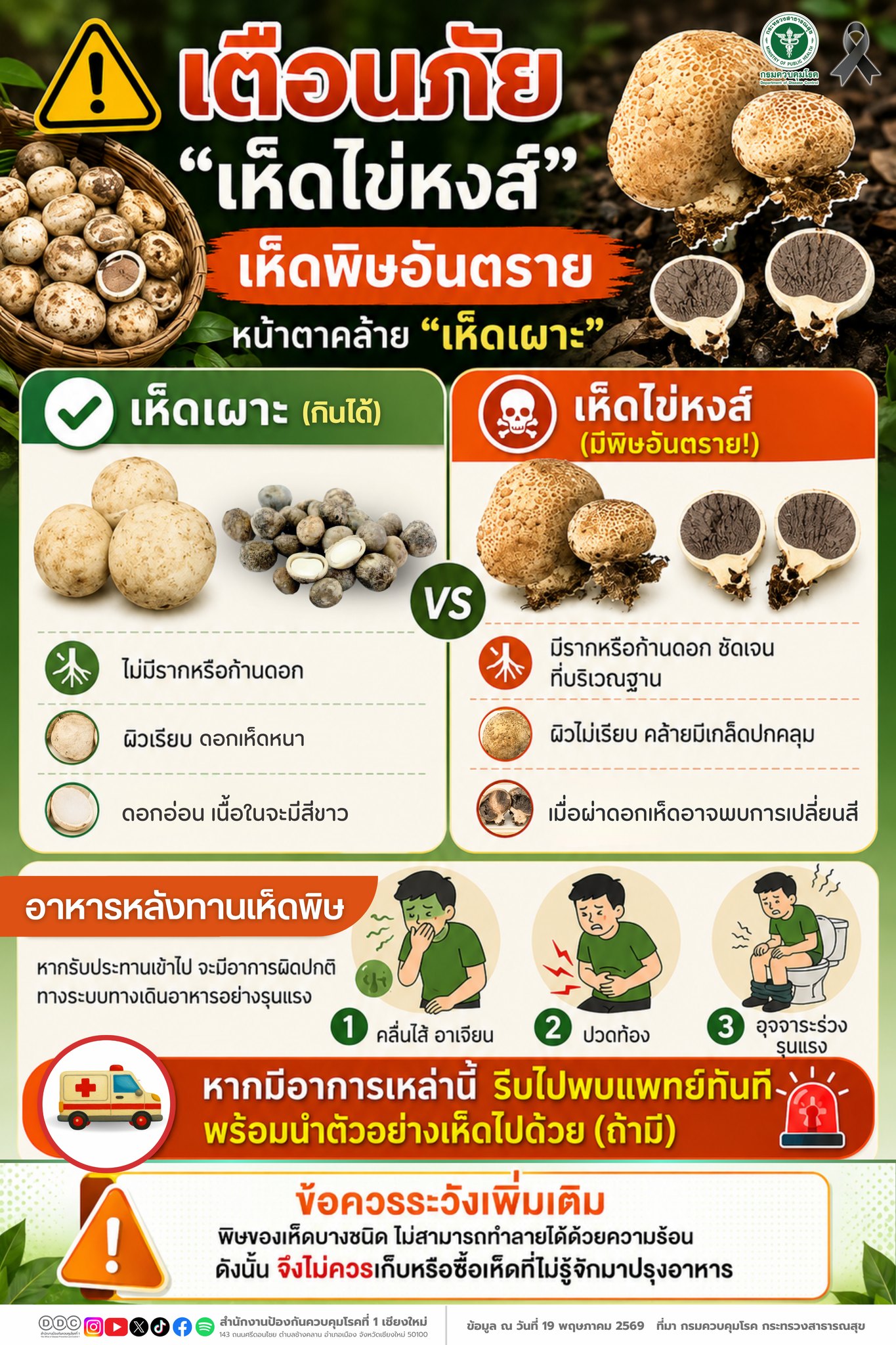 กิจกรรม