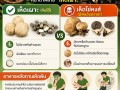⚠️🍄 อบต.แม่ถอด แจ้งเตือนภัยเร่งด่วน! ระวัง "เห็ดพิษ" ... Image 1
